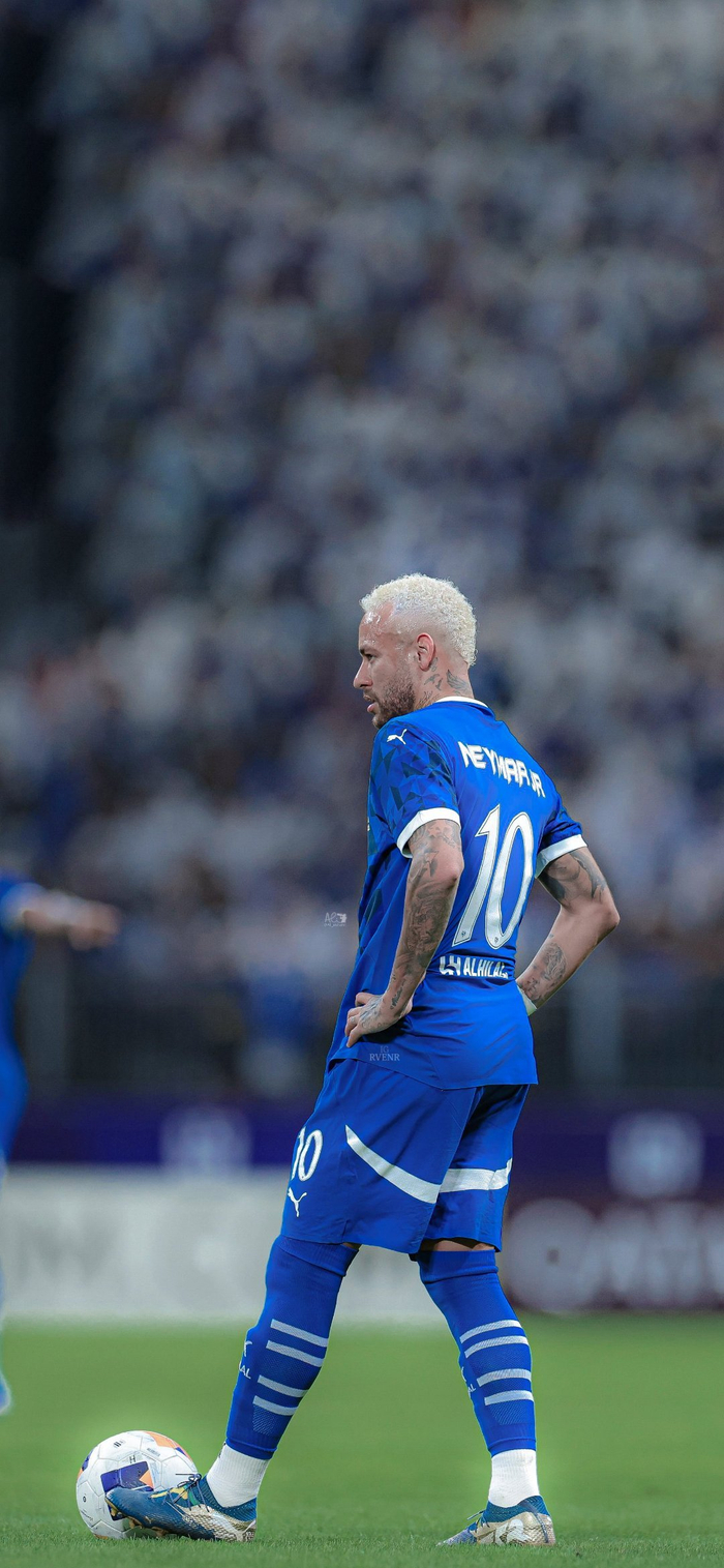 在冬季项目 在冬季项目